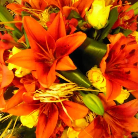 Hotel Adria Beach Club 3* Чезенатико