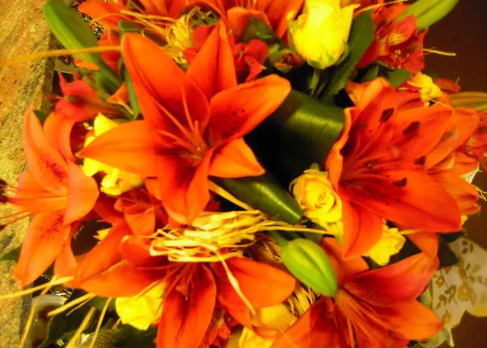 Adria Club 3* تْشيزيناتيكو